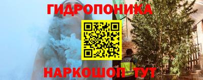 jwh Будённовск