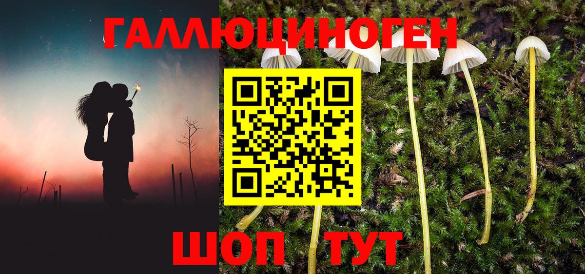Галлюциногенные грибы Psilocybine cubensis  Вход с VPN  Серпухов  Галлюциногенные грибы мицелий 